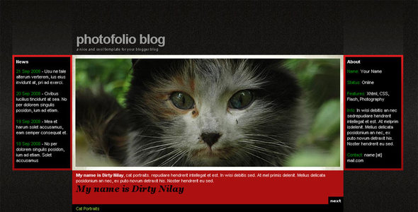 Photofolio Blogger Template